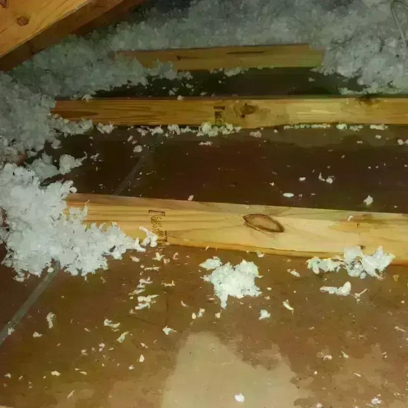 Attic Water Damage in Polk County, IA